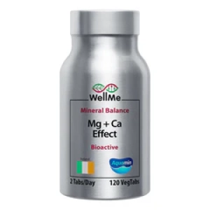 WellMeБиологическая активная добавка к пище Mg+Ca Effect Bioactive 120 капсул (Лучшая цена)