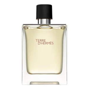 HermesTerre D'Hermes Pour Homme (Лучшая цена)